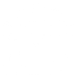 Consultoria em Tecnologia https://www.mundoopen.com.br